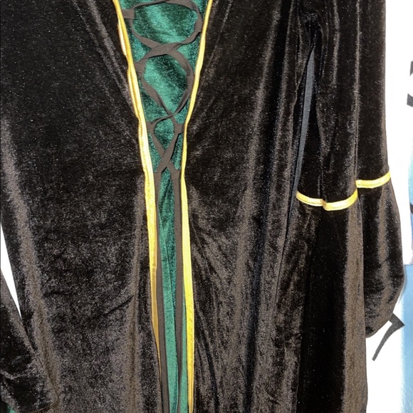 PRINCESS FIONA (2x) (movie Shrek) Curvy FABULOUS HALLOWEEN WON CONTEST COSTUME‼️ - Picture 9 of 12